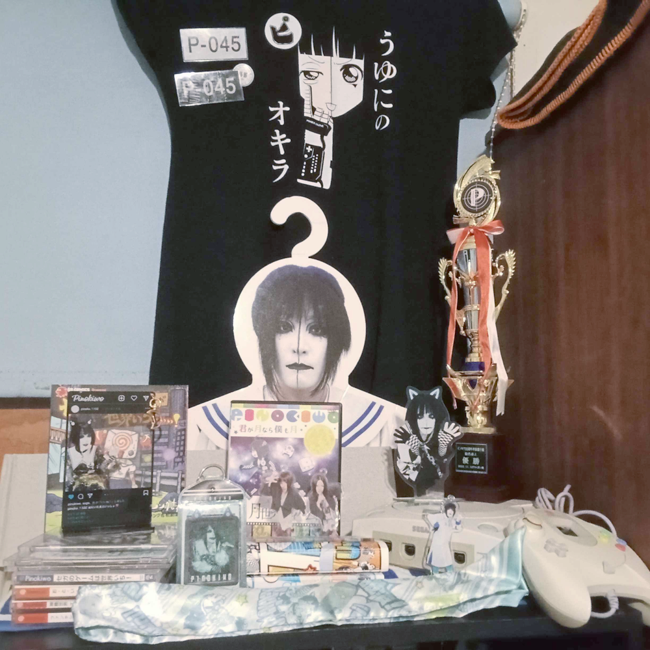 My main display of Pinokiwo merch. Lots of stuff.